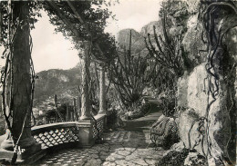  MONACO  JARDIN EXOTIQUE - Giardino Esotico