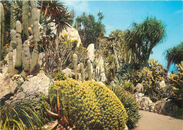  MONACO  JARDIN EXOTIQUE - Exotische Tuin