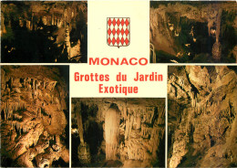  MONACO  JARDIN EXOTIQUE - Exotische Tuin