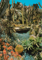  MONACO  JARDIN EXOTIQUE - Giardino Esotico