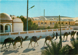 ALGERIE  EL OUED  - El-Oued