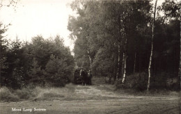 PAYS-BAS - Mooi Laag Soeren -  Cheval - Charrette - Un Chemin Dans Les Bois - La Forêt - Carte Postale Ancienne - Rheden