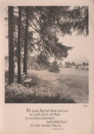 7655 - Im Wald Ohne Müh Und Last - Ca. 1955 - Landkarten