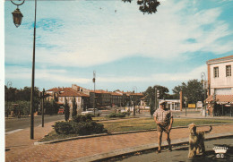 MURET....place Du Languedoc.. Edit  Loubatieres - Muret