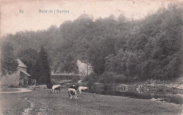 Ferrieres - SY - Bords De L'Ourthe -  Moulin - 1910 - Ferrieres