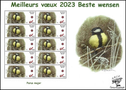 DUOSTAMP** / MYSTAMP** - Mésange Charbonnière / Koolmees / Parus Major - Meilleurs Vœux 2023 - BUZIN - ABCP - 1985-.. Vogels (Buzin)