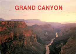 ETATS UNIS USA ARIZONA GRAND CANYON - Otros & Sin Clasificación