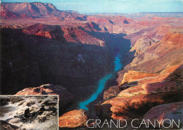 ETATS UNIS USA ARIZONA GRAND CANYON - Altri & Non Classificati