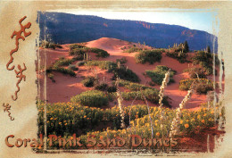  ETATS UNIS USA UTAH CORAL PINK SAND DUNES - Otros & Sin Clasificación