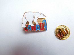 Beau Pin's En Relief , Ours , Bear , Canada - Animaux