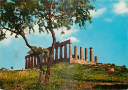 AGRIGENTO TEMPIO  SICILIA - Agrigento