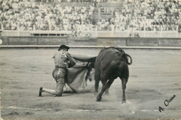 CORRIDA MANOLO BIENVENIDA - Corridas