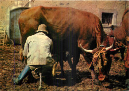AGRICULTURE LA TRAITE - Viehzucht
