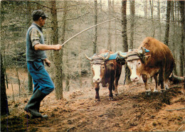 AGRICULTURE LE DEBARDAGE BŒUFS - Attelages