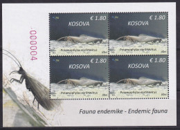 KOSOVO 2023,FAUNA ,INSECTS,POTAMOPHYLAX CORONAVIRUS,ENDEMIC,SHEET,MNH - Kosovo