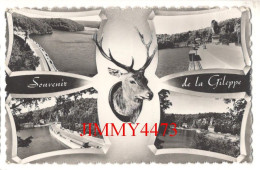 CPSM - Souvenir De La Gileppe En 1960 - Multi Vues ( Commune De Jalhay Province De Liège ) Bromophoto Brux. - Jalhay