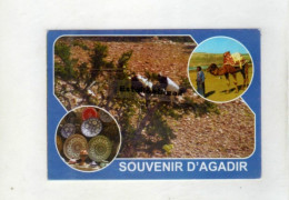 Agadir - Agadir