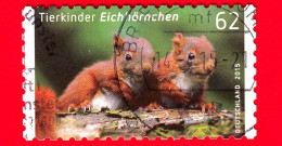 GERMANIA - Usato - 2015 - Cuccioli Di Animale - Scoiattolo - Squirrel (Sciurus Vulgaris) - 62 - Gebraucht