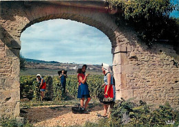 Vignes - Scènes De Vendanges - Les Vendanges En Bourgogne - Meursault - CPM - Carte Neuve - Voir Scans Recto-Verso - Vignes