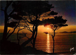 Coucher De Soleil - CPM - Voir Scans Recto-Verso - Hold To Light