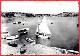 29 - M59566CPM - LE POULDU - 1953 - LE PORT - Très Bon état - FINISTERE - Le Pouldu