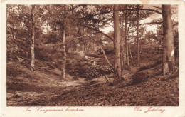 PAYS-BAS - In LaagSoerens Bosschen - De Justberg - Vue Dans Une Forêt - Arbres - Carte Postale Ancienne - Rheden