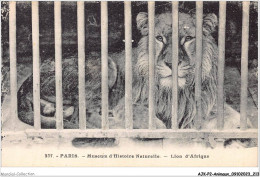 AJKP2-0220 - ANIMAUX - PARIS - MUSEUM D'HISTOIRE NATURELLE - LION D'AFRIQUE  - Leones