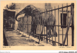 AJKP2-0213 - ANIMAUX - LYON - AU PARC - LOULOU  - Elephants