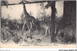 AJKP2-0191 - ANIMAUX - BOURGES - MUSEUM D'HISTOIRE NATURELLE - GIRAFE  - Giraffen