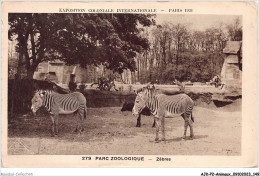 AJKP2-0188 - ANIMAUX - PARC ZOOLOGIQUE - ZEBRES  - Zèbres