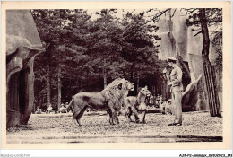 AJKP2-0184 - ANIMAUX - JARDIN ZOOLOGIQUE DE VINCENNES - LION ET LIONNE AU TRAVAIL  - Löwen