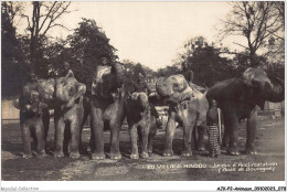 AJKP2-0153 - ANIMAUX - VILLAGE HINDOU - JARDIN D'ACCLIMATATION - BOIS DE BOULOGNE  - Elefanten