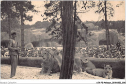AJKP2-0132 - ANIMAUX - LE TRAVAIL DES LIONS SUR LEUR PLATEAU  - Lions