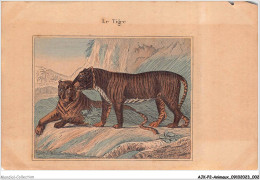 AJKP2-0115 - ANIMAUX - LE TIGRE  - Tiger