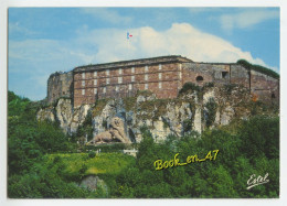 {91467} 90 Territoire De Belfort , Belfort , La Citadelle Et " Le Lion " - Belfort – Le Lion