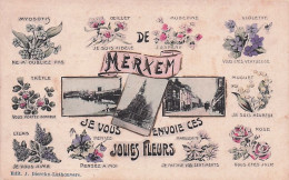 MERKSEM - MERXEM - De Merxem Je Vous Envoie Ces Jolies Fleurs - 1909 - Antwerpen