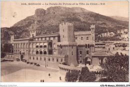 AJDP8-MONACO-0833 - MONACO - Le Palais Du Prince Et La Tête De Chien  - Palais Princier