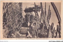 AJDP7-MONACO-0788 - MONACO - Les Jardins Exotiques  - Exotic Garden
