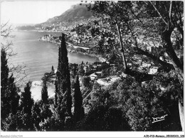 AJDP10-MONACO-1049 - MONACO - La Principauté Vue De Roquebrune  - Mehransichten, Panoramakarten