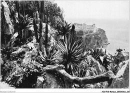 AJDP10-MONACO-1051 - MONTE-CARLO - Les Jardins Exotiques Et Le Rocher De MONACO  - Giardino Esotico