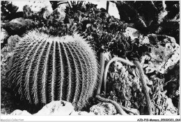 AJDP10-MONACO-1017 - Jardin Exotique De MONACO  - Exotische Tuin