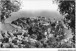 AJDP10-MONACO-1002 - MONACO - Ville Sur Son Rocher  - Tarjetas Panorámicas