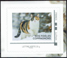 FRANCE 2024 - TAM Chat - Issu Du Collector Nos Fidèles Compagnons - Domestic Cats