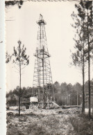 ****40  ***   BISCARROSSE Derrick Dans La Forêt Neuve Excellent état  - Biscarrosse