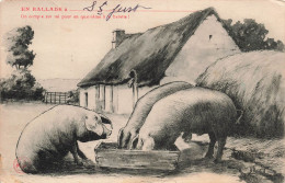 ANIMAUX & FAUNE - Cochons - Dans La Ferme - Carte Postale Ancienne - Schweine