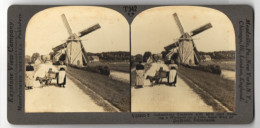 Stereo-Fotografie Keystone View Co., Meadville, Ansicht Dordrecht, A Summer Day On A Dike Road, Windmill  - Photos Stéréoscopiques