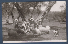 HYPSOS  CORFOU - Carte Photo - Griechenland