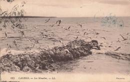 FRANCE - Cannes - Les Mouettes - LL - Océan - Carte Postale Ancienne - Cannes