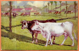CALENDRIER Ouvrant Pour L'Année 1902 (format Intermédiaire) - 94 L'HAY Ferme Des Prés  - Vaches - Illustrateur REYMOND - Autres & Non Classés