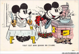 CAR-AANP10-DISNEY-0903 - MICKEY MOUSE - Mickey Et Minnie Mouse - Disneyland